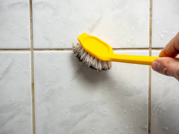 Water Damage Restoration in Sheridan, IN
