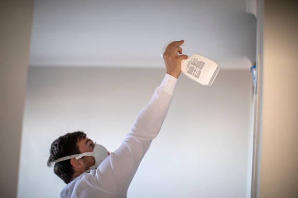 Best Affordable Mold Removal  in Sheridan, IN