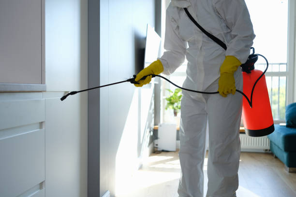 Best Emergency Mold Removal  in Sheridan, IN