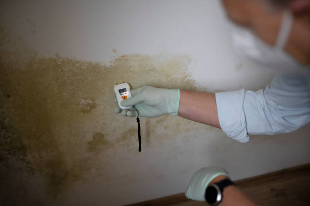 Best Mold Testing  in Sheridan, IN