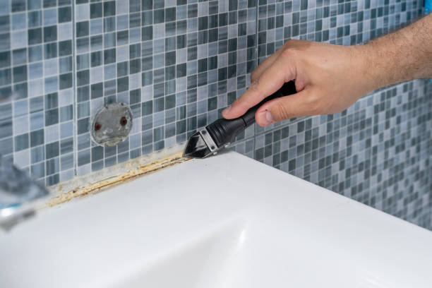 Best Professional Mold Removal  in Sheridan, IN
